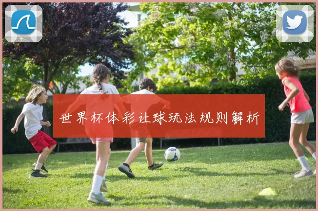 世界杯体彩让球玩法规则解析