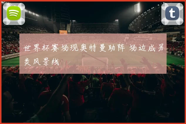 世界杯赛场现奥特曼助阵 场边成另类风景线