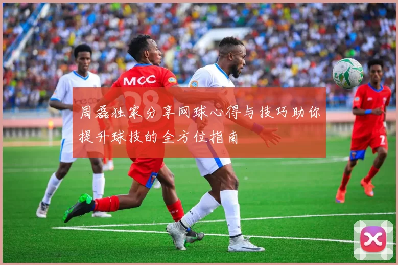 周磊独家分享网球心得与技巧助你提升球技的全方位指南