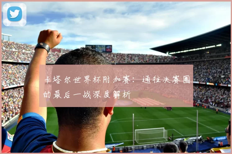 卡塔尔世界杯附加赛:通往决赛圈的最后一战深度解析