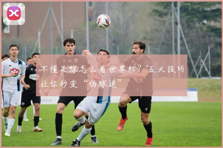 不懂足球怎么看世界杯？五大技巧让你秒变“伪球迷”
