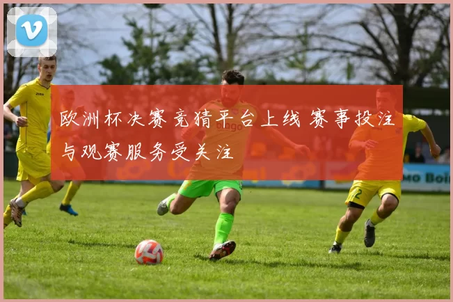 欧洲杯决赛竞猜平台上线 赛事投注与观赛服务受关注