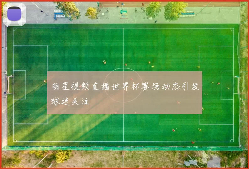 明星视频直播世界杯赛场动态引发球迷关注