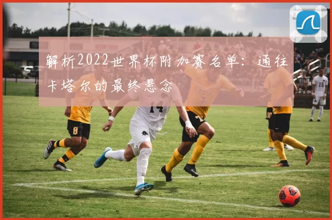 解析2022世界杯附加赛名单:通往卡塔尔的最终悬念