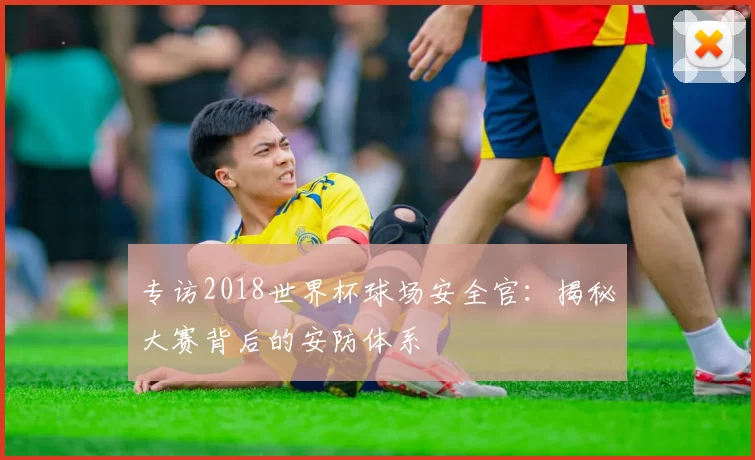 专访2018世界杯球场安全官:揭秘大赛背后的安防体系