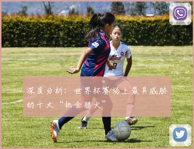 深度分析：世界杯赛场上最具威胁的十大“机会猎犬”
