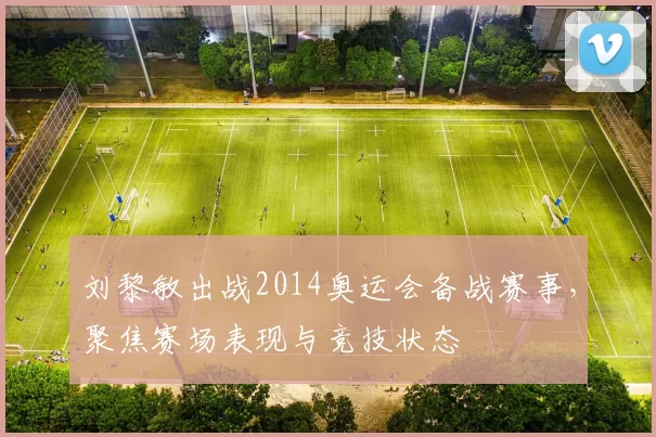 刘黎敏出战2014奥运会备战赛事,聚焦赛场表现与竞技状态
