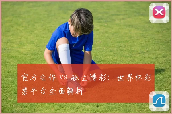 官方合作 vs 独立博彩:世界杯彩票平台全面解析