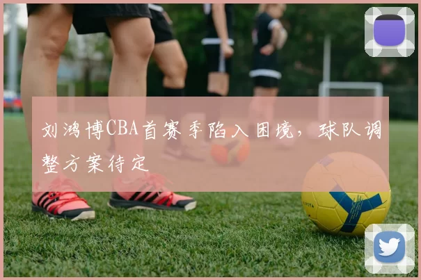 刘鸿博CBA首赛季陷入困境，球队调整方案待定